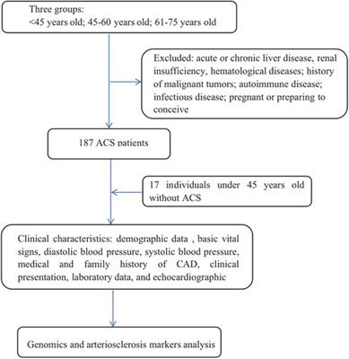 Clinical characteristics and biomarkers feature analysis using a proteomics platform in young patients with acute coronary syndrome